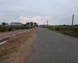 Bán đất vườn thanh long đường bê tông xe máy toàn đi vô
