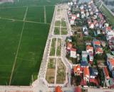 Đấu giá mê linh gần vành đai 4 chỉ hơn 4 tỷ