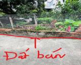 BÁN ĐẤT ĐẸP CỔ BI, GIA LÂM- CHỈ HƠN 3 TỈ, VỪA KHUÔN TIỀN - MUA XÂY NHÀ Ở HAY ĐẦU TƯ ĐỀU ỔN