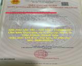 ĐẤT PHÚ LỘC TÂY – GIÁ TỐT – CHÍNH CHỦ CẦN BÁN Thửa 668, tờ 5, Phú Lộc Tây 4, H. Diên