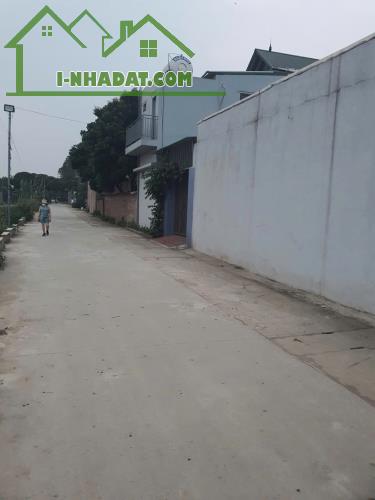 CHÍNH CHỦ CHO THUÊ ĐẤT SẴN NỀN XI MĂNG TẠI AN KHÁNH, HOÀI ĐỨC, HÀ NỘI - 1