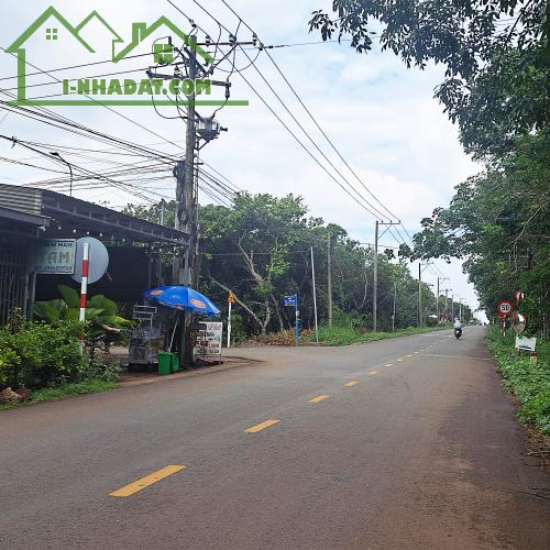 🔥 Nền Đất 5x21 “Nở hậu” – Ngay Sau Bệnh Viện Long Khánh và Vành Đai 1. Chỉ 790Tr. - 3