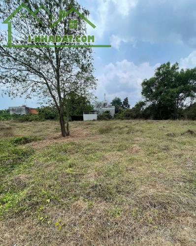 ĐẤT SẴN SỔ 490M² – GIÁ TỐT TẠI TÂN THÔNG HỘI, CỦ CHI – ĐƯỜNG XE HƠI THÔNG THOÁNG