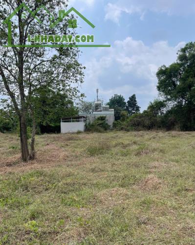 ĐẤT SẴN SỔ 490M² – GIÁ TỐT TẠI TÂN THÔNG HỘI, CỦ CHI – ĐƯỜNG XE HƠI THÔNG THOÁNG - 1