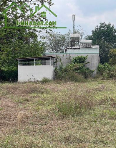 ĐẤT SẴN SỔ 490M² – GIÁ TỐT TẠI TÂN THÔNG HỘI, CỦ CHI – ĐƯỜNG XE HƠI THÔNG THOÁNG - 2