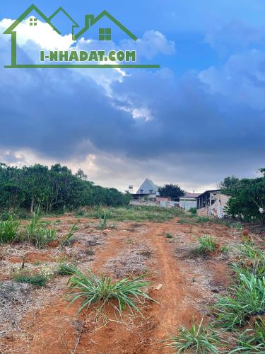 CHÍNH CHỦ CẦN BÁN 5 SÀO ĐẤT THANH BÌNH - 2