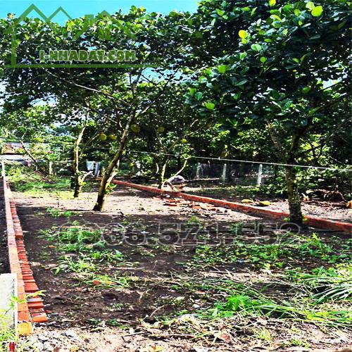 210m² THỔ CƯ, NGAY CHỢ HÀM NGHI – TP LONG KHÁNH – ĐN. CƠ HỘI X2,3 TÀI SẢN.