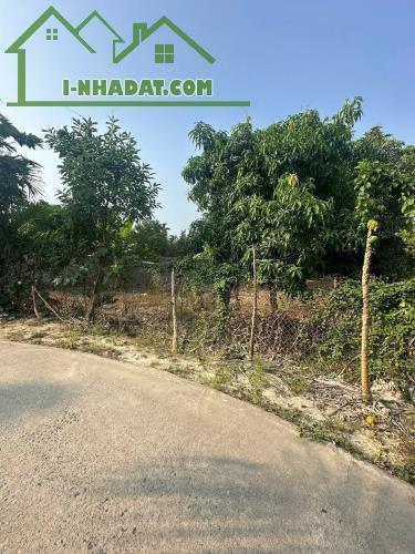 Bán đất Diên Phước mặt tiền đường Phước Tuy rộng rãi phù hợp xây biệt thự vườn - 2