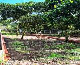 210m² THỔ CƯ, NGAY CHỢ HÀM NGHI – TP LONG KHÁNH – ĐN. CƠ HỘI X2,3 TÀI SẢN.