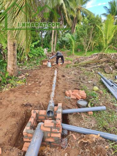 Đất thổ cư Trung An cách Trần Văn Hiển 150m Tp Mỹ Tho