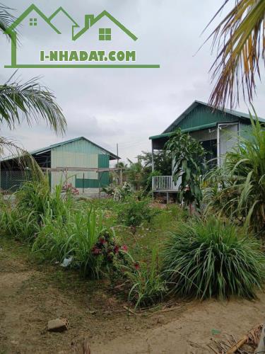 CHÍNH CHỦ BÁN ĐẤT TẠI  PHAN RANG ,THÁP CHÀM, NINH THUẬN - 2