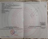 BÁN ĐẤT - 100% THỔ CƯ - GẦN SIÊU THỊ, CHỢ THÔNG ĐƯỜNG VÕ NGUYÊN GIÁP & 23 tháng 1
