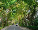 BIỆT THỰ ECOPARK – SỐNG GIỮA KHÔNG GIAN XANH, TẬN HƯỞNG KHÔNG KHÍ MÁT LÀNH GIỮA NẮNG NÓNG