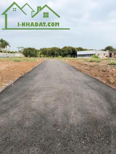 BÁN ĐẤT MẶT TIỀN NHỰA 16M – GIÁ CHỈ TỪ 590 TRIỆU/NỀN - 3