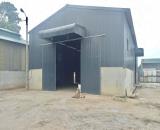 800m kho xưởng khu vực Mai Lâm cần cho thuê, container đỗ, giá 70k/m