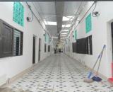 Cần bán dãy trọ trong khu dân cư Tam Lộng, Bình Xuyên, Vĩnh Phúc