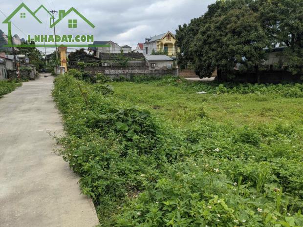 BÁN ĐẤT*THÔN TÂN LẬP ,CHƯƠNG MỸ,MT RỘNG NHƯ CÁI DT 293M GIÁ CHỈ 6,5 TỶ. - 4