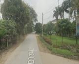 Cực hiếm Siêu Đẹp Đất Yên Vĩnh,Dạ Trạch,Hưng Yên,250m2,Ô tô tránh,Mặt tiền 10m