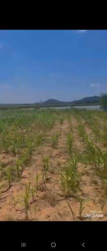 ► BÁN ĐẤT VIEW HỒ – TỰA NÚI – KDC ĐÔNG ĐÚC - 3