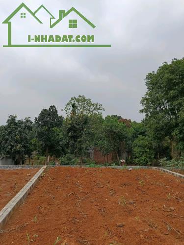 Cơ hội sở hữu đất Phú Cát - Hòa Lạc chỉ với 1.6 tỷ có 100m2 full cư sổ riêng lâu dài - 2