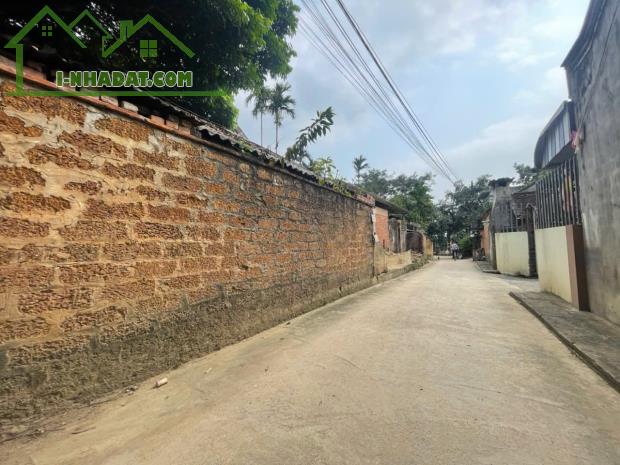 Bán 2 lô đất cách QL6 100m tại Đông Phương Yên-Chương Mỹ Hà Nội - 2