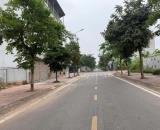 Bán lô LK 100m2 hướng Đông Nam, KĐT Nam Vĩnh Yên. Đường 16.5m