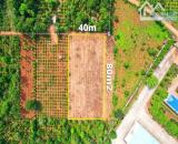 3,1 sào Tân An sát bên KCN Tân An Hà Huy Tập 4,8 tỷ Quỳnh Anh 0918024679