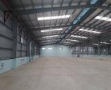BD. Cho thuê kho xưởng KCN Mỹ Phước, Bến Cát, Bình Dương