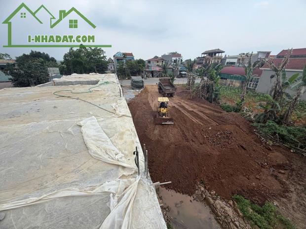 HOT HOT –CẦN BÁN 3 LÔ ĐẤT LIỀN KỀ – MẶT TIỀN QUỐC LỘ 12B – VỊ TRÍ ĐẸP TẠI QUỲNH LƯU, NHO - 3