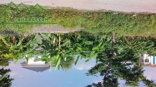 CẦN BÁN LÔ ĐẤT KDC NAM BÌNH HÀ - NINH MỸ 236M - 9,7 tỷ / 0912.547.205