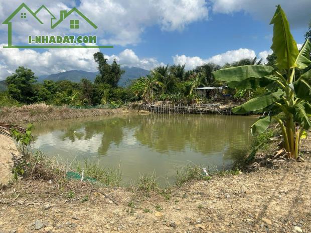 SIÊU RẺ ĐỂ SỞ HỮU "ỐC ĐẢO"XANH MÁT TẠI NINH SƠN 10.000m GÍA CHỈ 500 NGÀN//M - 2