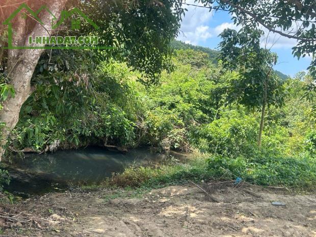 SIÊU RẺ ĐỂ SỞ HỮU "ỐC ĐẢO"XANH MÁT TẠI NINH SƠN 10.000m GÍA CHỈ 500 NGÀN//M - 5