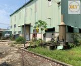 BÁN ĐẤT XƯỞNG KCN CHƠN THÀNH, BÌNH PHƯỚC – 10.017m²