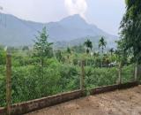 Bán đất Ba Vì, Dy Minh Quang, ngắm núi Ba Vì, oto tránh, gần K9, Ba Trại, 1629m, 5.4tỷ
