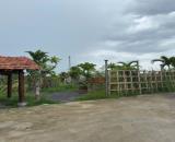 Bán đất mặt tiền 3.830m² Trương Văn Diễn, Ô Môn, Cần Thơ. Giá chỉ 17 tỷ (còn TL)