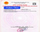 🔴BÁN ĐẤT MT ĐƯỜNG THÂM TÂM - SÁT TRỤC MINH MẠNG