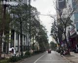 BÁN BIỆT THỰ LÔ GÓC LÁNG HẠ - ĐỐNG ĐA - 430M2 - MT 16M - Ô TÔ ĐỖ NGÀY ĐÊM - 83 TỶ