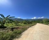 bán vườn Sầu Thái 2,4 hecta cạnh đường mới Nha Trang - Khánh Sơn giá chỉ 200k/m2
