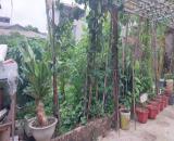 BÁN ĐẤT VÂN NỘI – NỞ HẬU CỰC ĐẸP 🔥