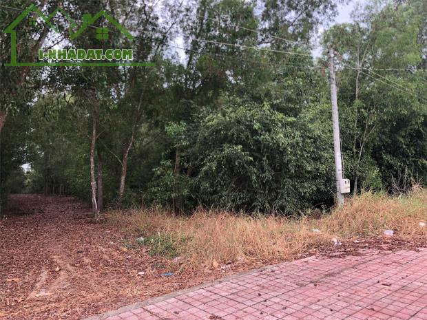 ĐẦU TƯ SINH LỜI- CHÍNH CHỦ BÁN GẤP 2 LÔ ĐẤT ĐẸP 1587m2-ODT- 11,5 Tỷ Tại Tân Thạnh, Long An - 4