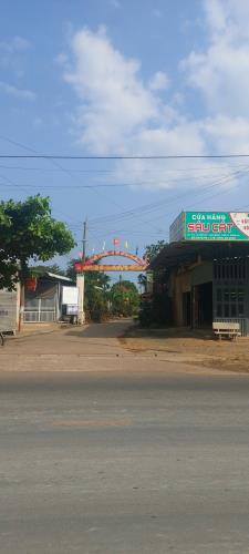 Bán 21000m2 Đất CLN - Doanh Thu 360Triệu/Năm - Cẩm Mỹ ĐN. Giá Nhỉnh 9 Tỷ