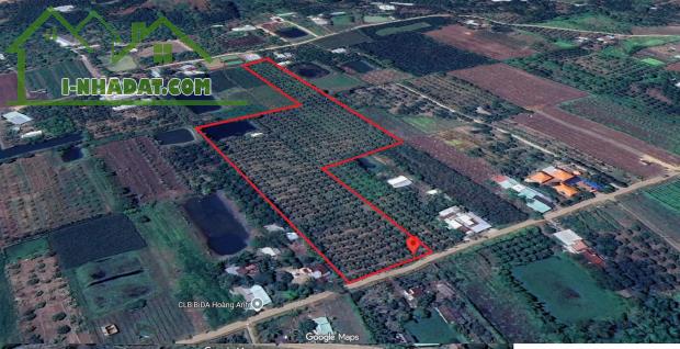 Bán 21000m2 Đất CLN - Doanh Thu 360Triệu/Năm - Cẩm Mỹ ĐN. Giá Nhỉnh 9 Tỷ - 1