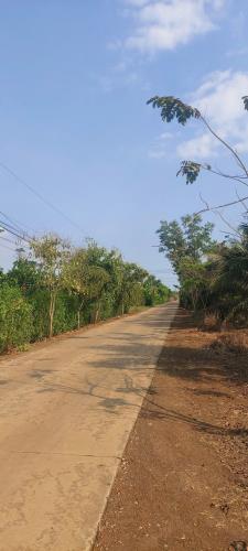 Bán 21000m2 Đất CLN - Doanh Thu 360Triệu/Năm - Cẩm Mỹ ĐN. Giá Nhỉnh 9 Tỷ - 2