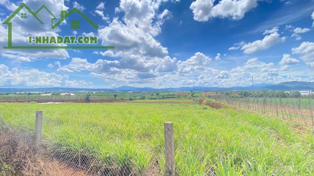 Đất 2 mặt hẻm n’thôn hạ, đức trọng cũ, lâm đồng ( 11.000m2 ) - 1