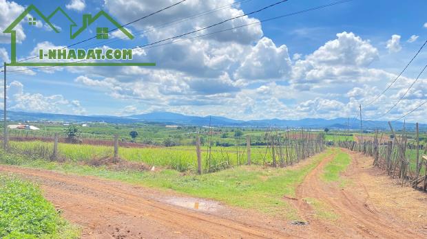 Đất 2 mặt hẻm n’thôn hạ, đức trọng cũ, lâm đồng ( 11.000m2 ) - 2