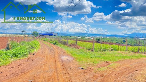 Đất 2 mặt hẻm n’thôn hạ, đức trọng cũ, lâm đồng ( 11.000m2 ) - 5