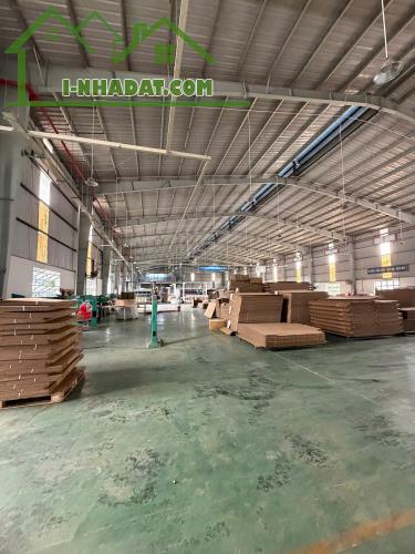 XT143 cho thuê nhà xưởng, thiết kế kiên cố sẵn sàng cho thuê tiếp nhận nhiều ngành nghề - 4