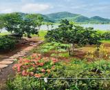 🔥 ĐẤT HỒ SIÊU RỘNG – KHAI THÁC DU LỊCH SẴN 🔥  📍 Vị trí: Xã Vũ Bình – Lạc Sơn – Hoà Bình