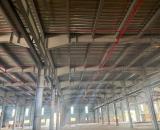CHO THUÊ NHÀ XƯỞNG MỚI 7000m² Tại KCN ECOLAND. PCCC Tự Động – Pháp Lý FDI
