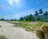ĐẤT ĐẸP- GIÁ ƯU ĐÃI CHÍNH CHỦ BÁN NHANH LÔ ĐẤT TIỀM NĂNG tại Phường Tây Nha Trang, Khánh